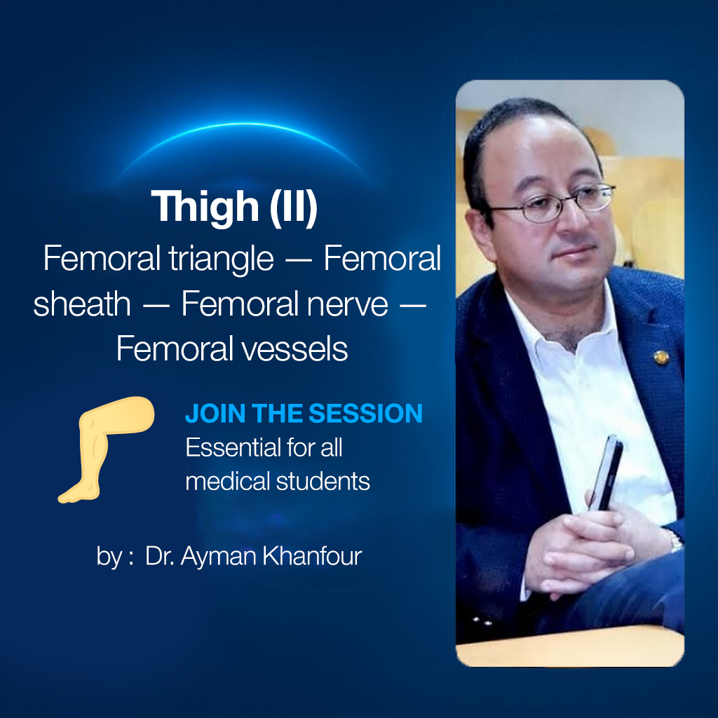 𝐓𝐡𝐢𝐠𝐡 (𝐈𝐈) (𝐅𝐞𝐦𝐨𝐫𝐚𝐥 𝐭𝐫𝐢𝐚𝐧𝐠𝐥𝐞, 𝐟𝐞𝐦𝐨𝐫𝐚𝐥 𝐬𝐡𝐞𝐚𝐭𝐡, 𝐟𝐞𝐦𝐨𝐫𝐚𝐥 𝐧𝐞𝐫𝐯𝐞, 𝐚𝐧𝐝 𝐟𝐞𝐦𝐨𝐫𝐚𝐥 𝐯𝐞𝐬𝐬𝐞𝐥𝐬)