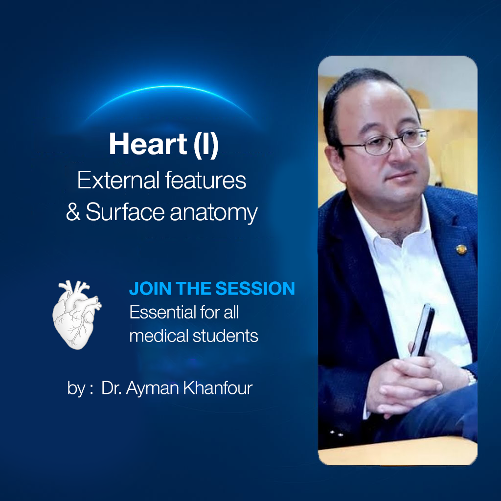 𝐇𝐞𝐚𝐫𝐭 (𝐈) (𝐄𝐱𝐭𝐞𝐫𝐧𝐚𝐥 𝐟𝐞𝐚𝐭𝐮𝐫𝐞𝐬 & 𝐒𝐮𝐫𝐟𝐚𝐜𝐞 𝐚𝐧𝐚𝐭𝐨𝐦𝐲)