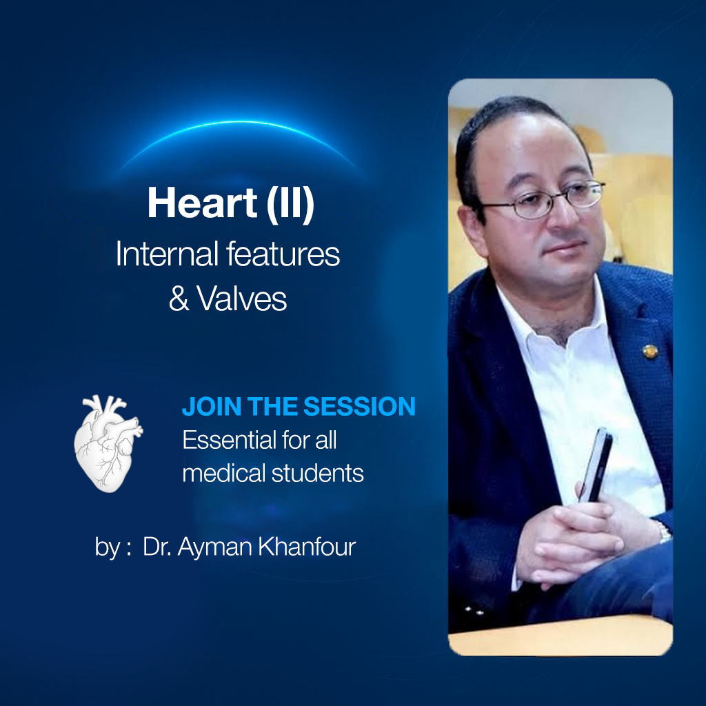 𝐇𝐞𝐚𝐫𝐭 (𝐈𝐈) (𝐈𝐧𝐭𝐞𝐫𝐧𝐚𝐥 𝐟𝐞𝐚𝐭𝐮𝐫𝐞𝐬 & 𝐕𝐚𝐥𝐯𝐞𝐬)