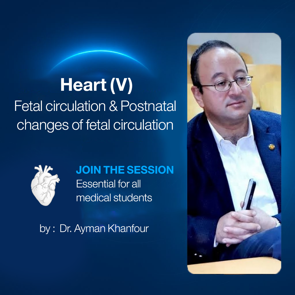 𝐅𝐞𝐭𝐚𝐥 𝐜𝐢𝐫𝐜𝐮𝐥𝐚𝐭𝐢𝐨𝐧 & 𝐏𝐨𝐬𝐭𝐧𝐚𝐭𝐚𝐥 𝐜𝐡𝐚𝐧𝐠𝐞𝐬 𝐨𝐟 𝐟𝐞𝐭𝐚𝐥 𝐜𝐢𝐫𝐜𝐮𝐥𝐚𝐭𝐢𝐨𝐧