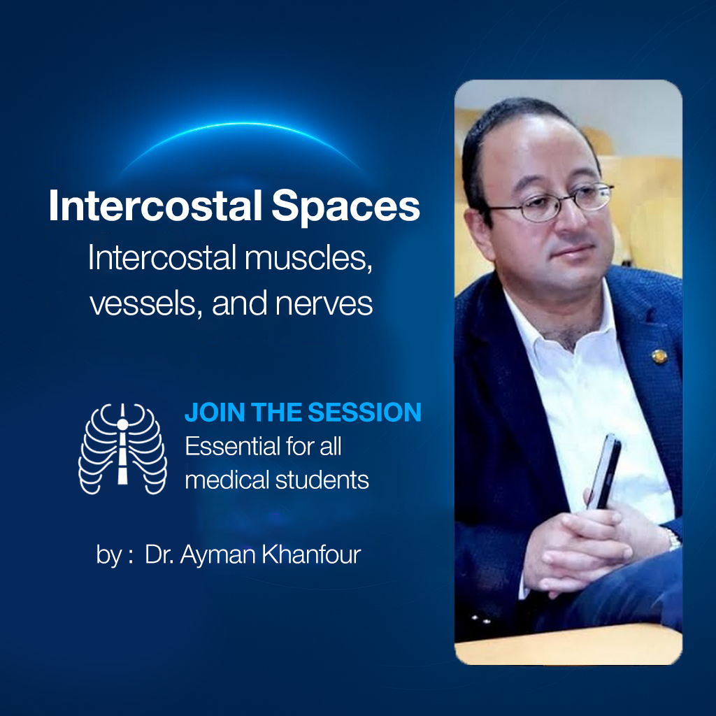 𝐈𝐧𝐭𝐞𝐫𝐜𝐨𝐬𝐭𝐚𝐥 𝐬𝐩𝐚𝐜𝐞𝐬 (𝐈𝐧𝐭𝐞𝐫𝐜𝐨𝐬𝐭𝐚𝐥 𝐦𝐮𝐬𝐜𝐥𝐞𝐬, 𝐯𝐞𝐬𝐬𝐞𝐥𝐬, 𝐚𝐧𝐝 𝐧𝐞𝐫𝐯𝐞𝐬)