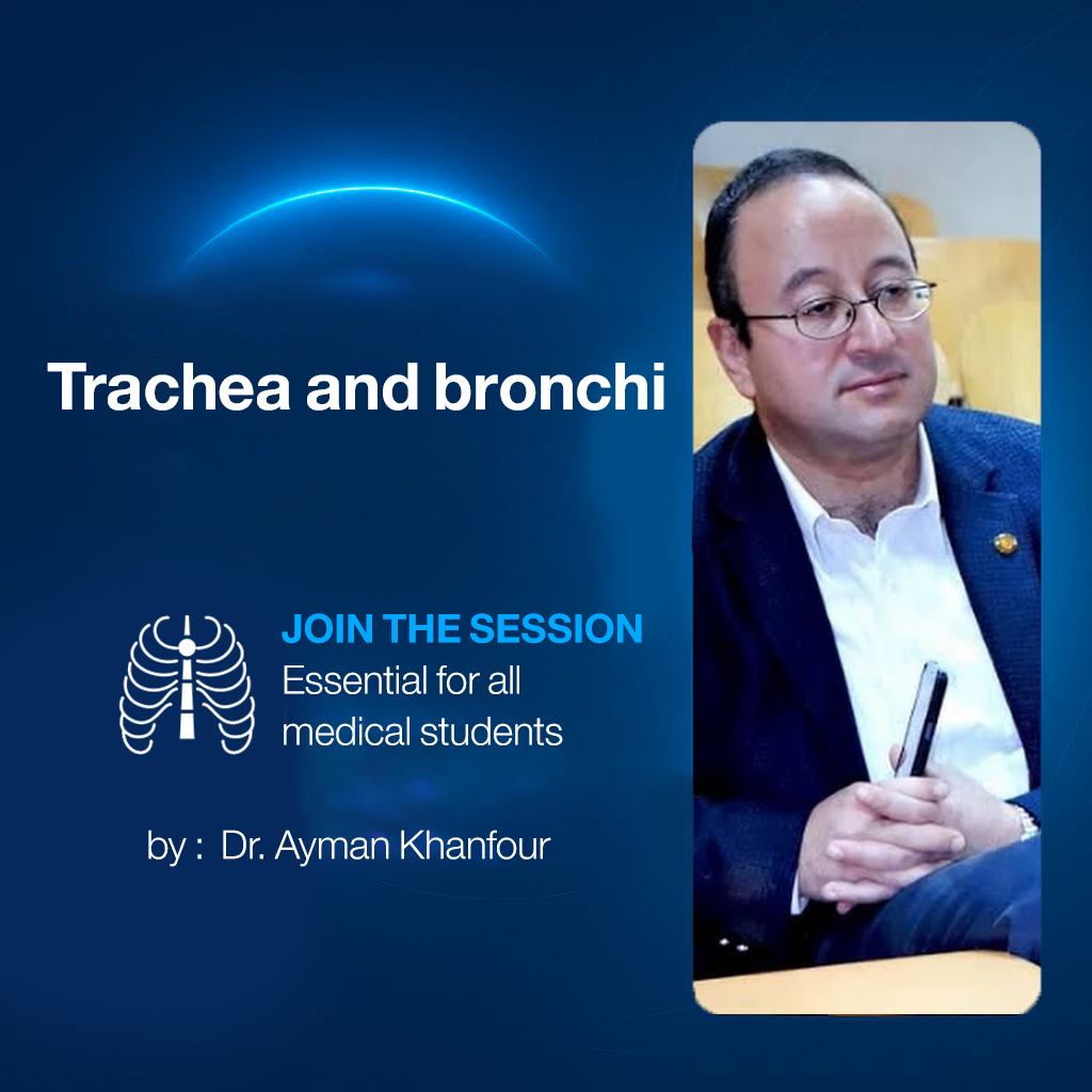 𝐓𝐫𝐚𝐜𝐡𝐞𝐚 𝐚𝐧𝐝 𝐛𝐫𝐨𝐧𝐜𝐡𝐢