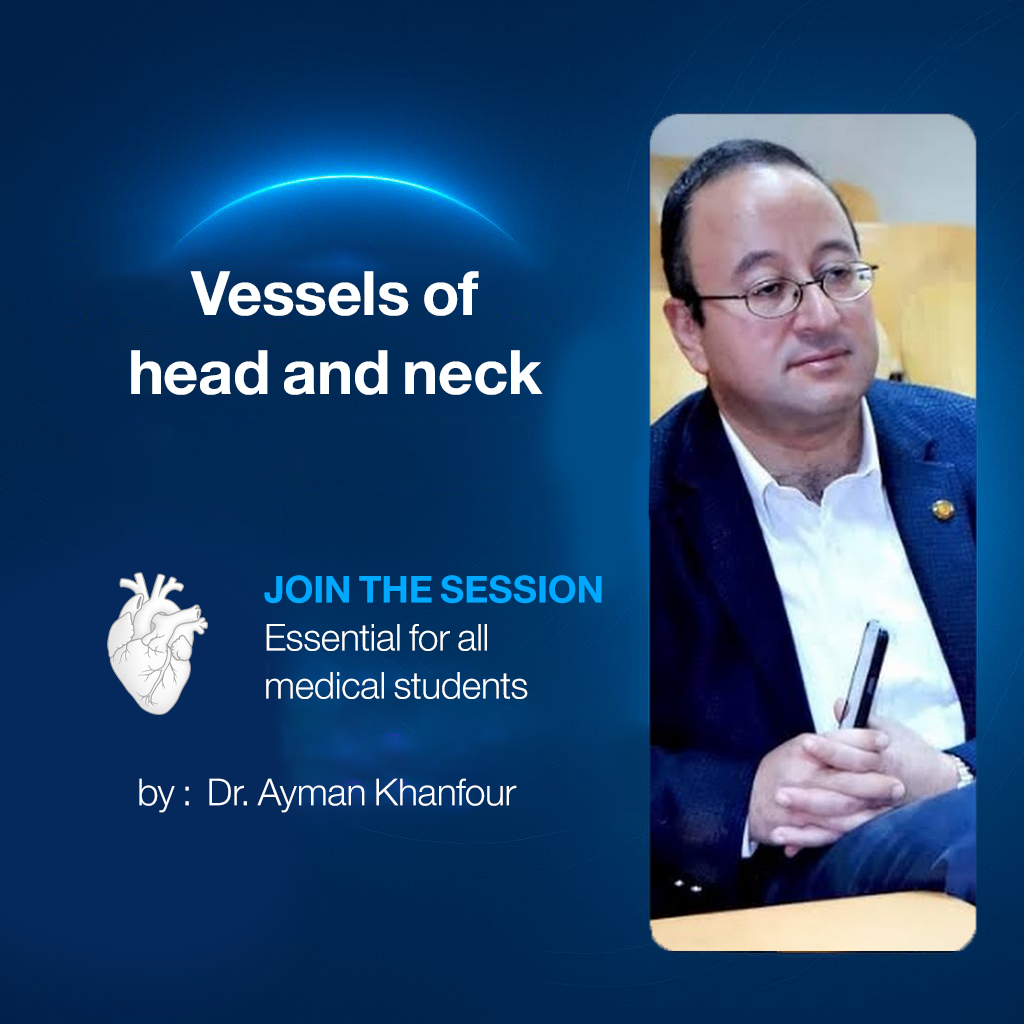 Vessels of head and neck