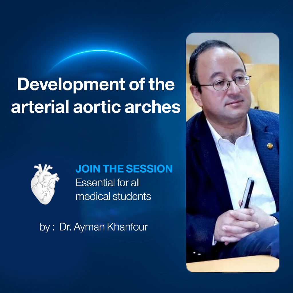 Development of the arterial aortic arches
