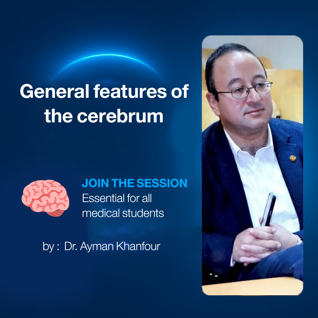 𝐆𝐞𝐧𝐞𝐫𝐚𝐥 𝐟𝐞𝐚𝐭𝐮𝐫𝐞𝐬 𝐨𝐟 𝐭𝐡𝐞 𝐜𝐞𝐫𝐞𝐛𝐫𝐮𝐦