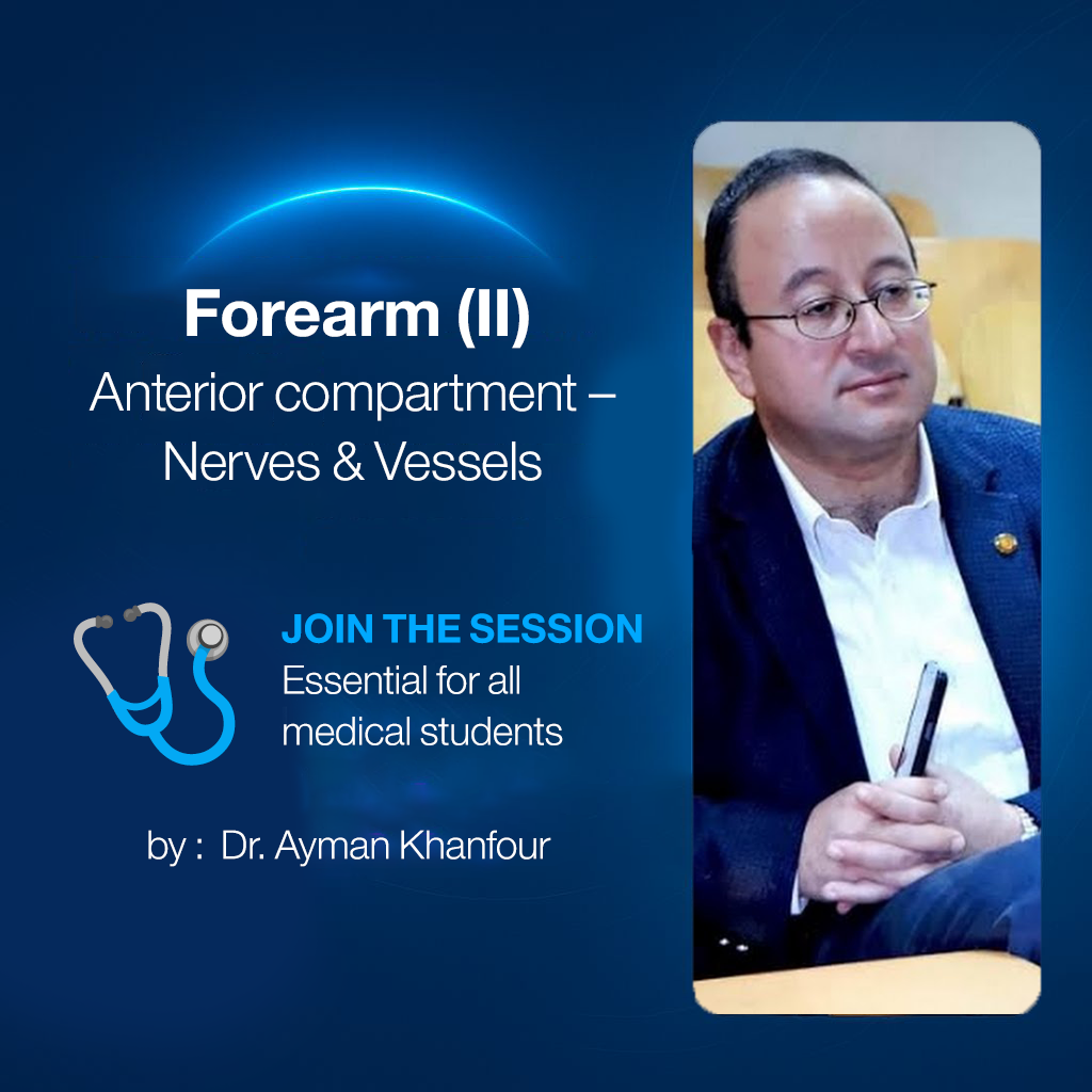 𝐅𝐨𝐫𝐞𝐚𝐫𝐦 (𝐈𝐈) (𝐀𝐧𝐭𝐞𝐫𝐢𝐨𝐫 𝐜𝐨𝐦𝐩𝐚𝐫𝐭𝐦𝐞𝐧𝐭 +𝐍𝐞𝐫𝐯𝐞𝐬 + 𝐯𝐞𝐬𝐬𝐞𝐥𝐬