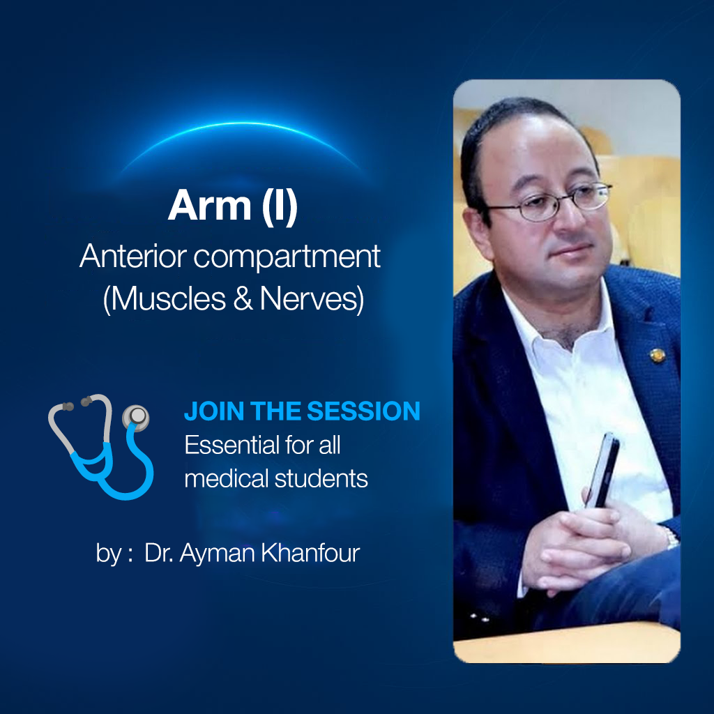 𝐀𝐫𝐦 (𝐈) 𝐀𝐧𝐭𝐞𝐫𝐢𝐨𝐫 𝐜𝐨𝐦𝐩𝐚𝐫𝐭𝐦𝐞𝐧𝐭 (𝐌𝐮𝐬𝐜𝐥𝐞𝐬 & 𝐍𝐞𝐫𝐯𝐞𝐬)