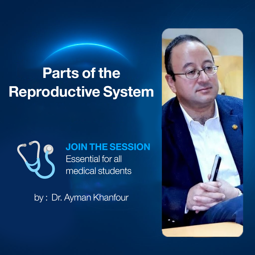 𝐏𝐚𝐫𝐭𝐬 𝐨𝐟 𝐭𝐡𝐞 𝐫𝐞𝐩𝐫𝐨𝐝𝐮𝐜𝐭𝐢𝐯𝐞 𝐬𝐲𝐬𝐭𝐞𝐦