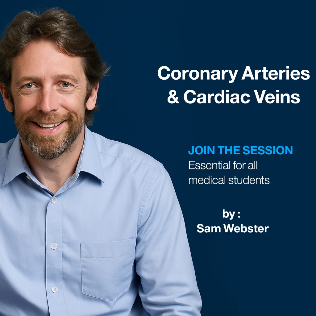 Coronary Arteries & Cardiac Veins