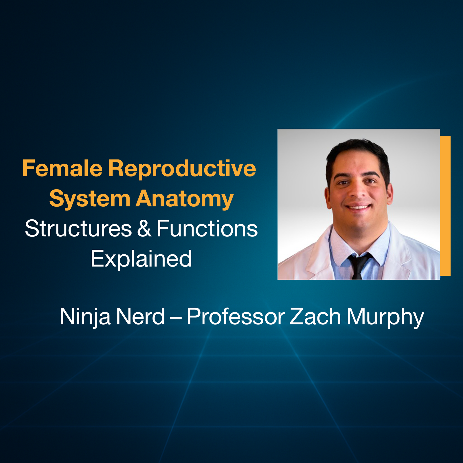 Female Reproductive System Anatomy: Structures & Functions Explained