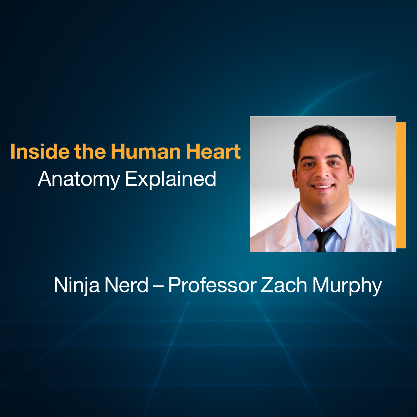 Inside the Human Heart: Anatomy Explained