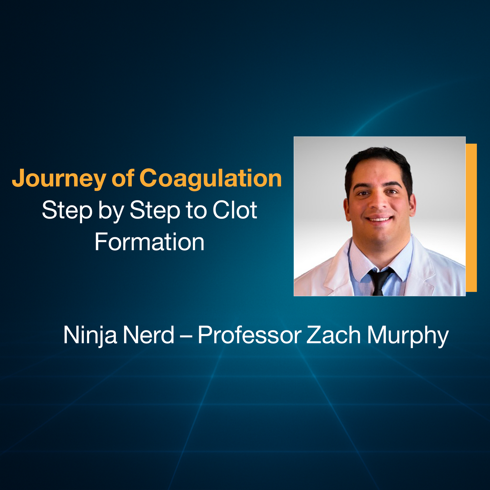 Journey of Coagulation: Step by Step to Clot Formation