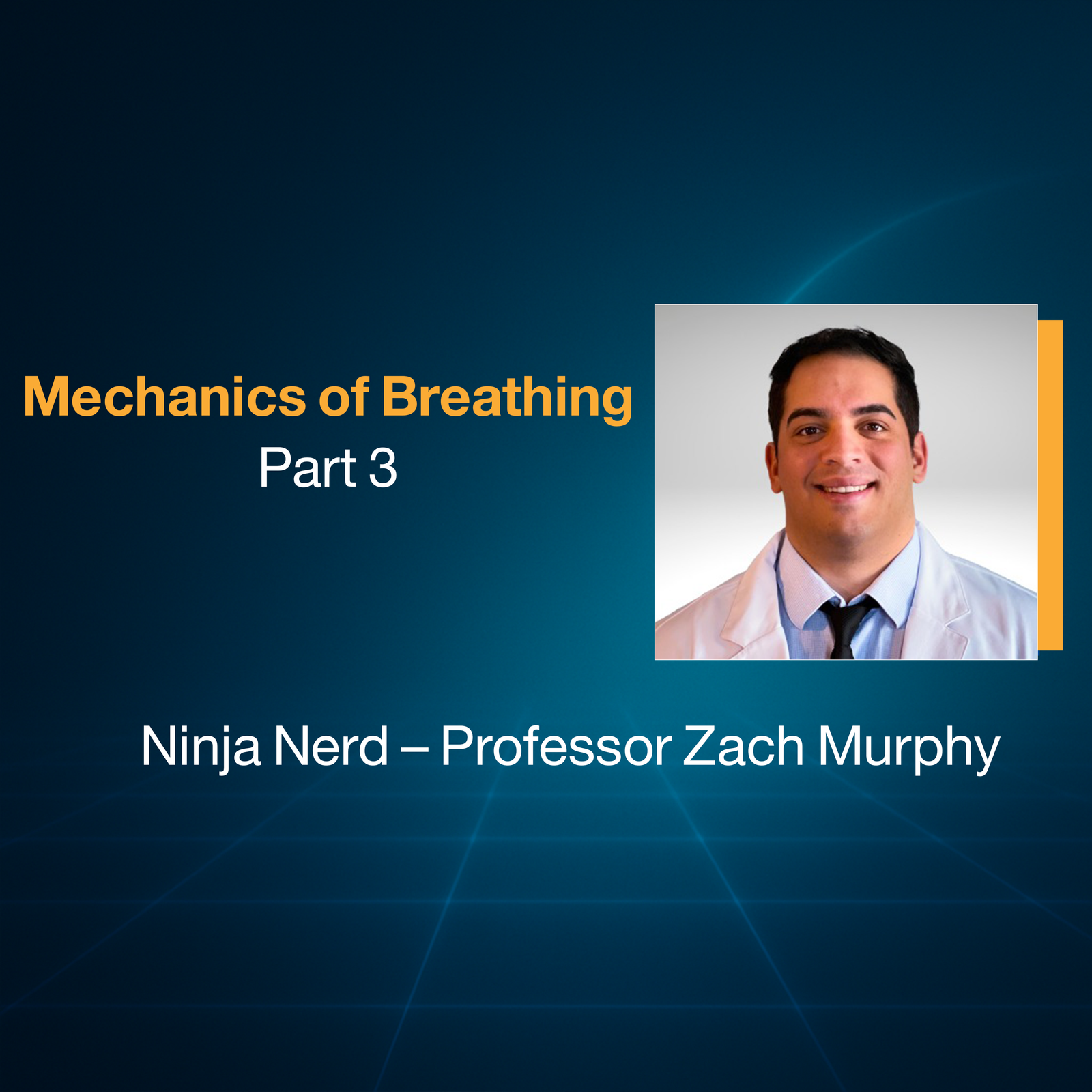 Mechanics of Breathing (Part 3)