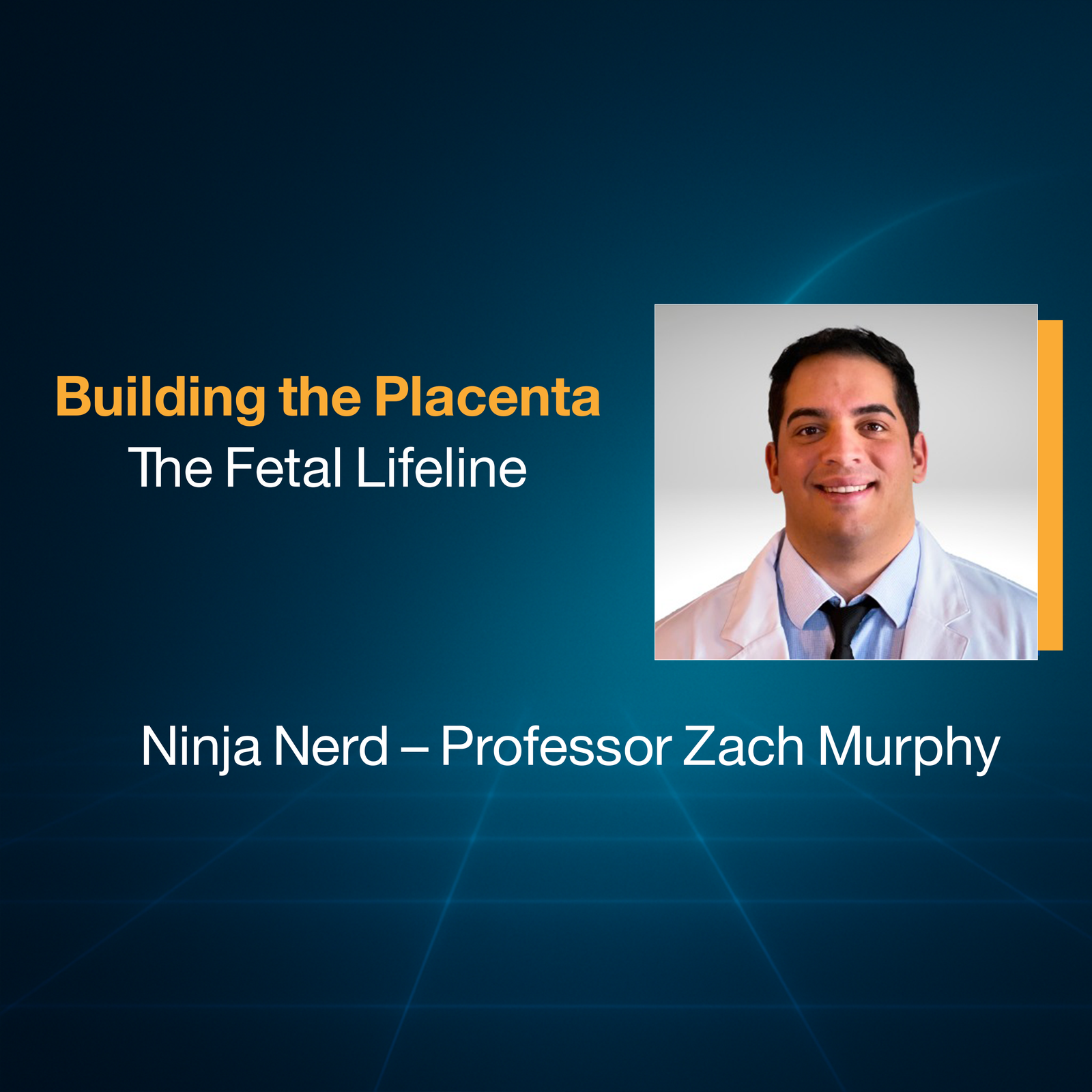 Building the Placenta: The Fetal Lifeline