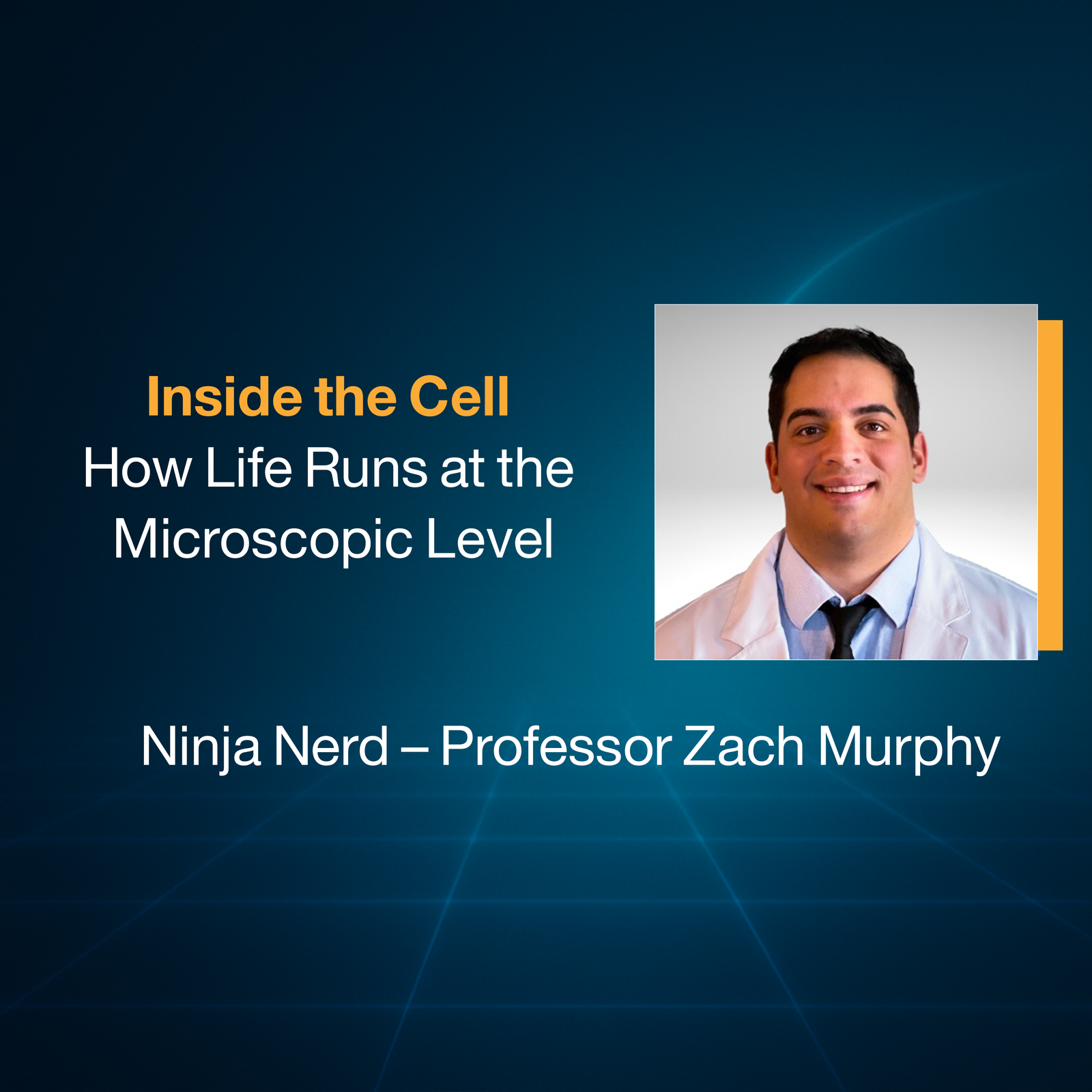 Inside the Cell: How Life Runs at the  Microscopic Level