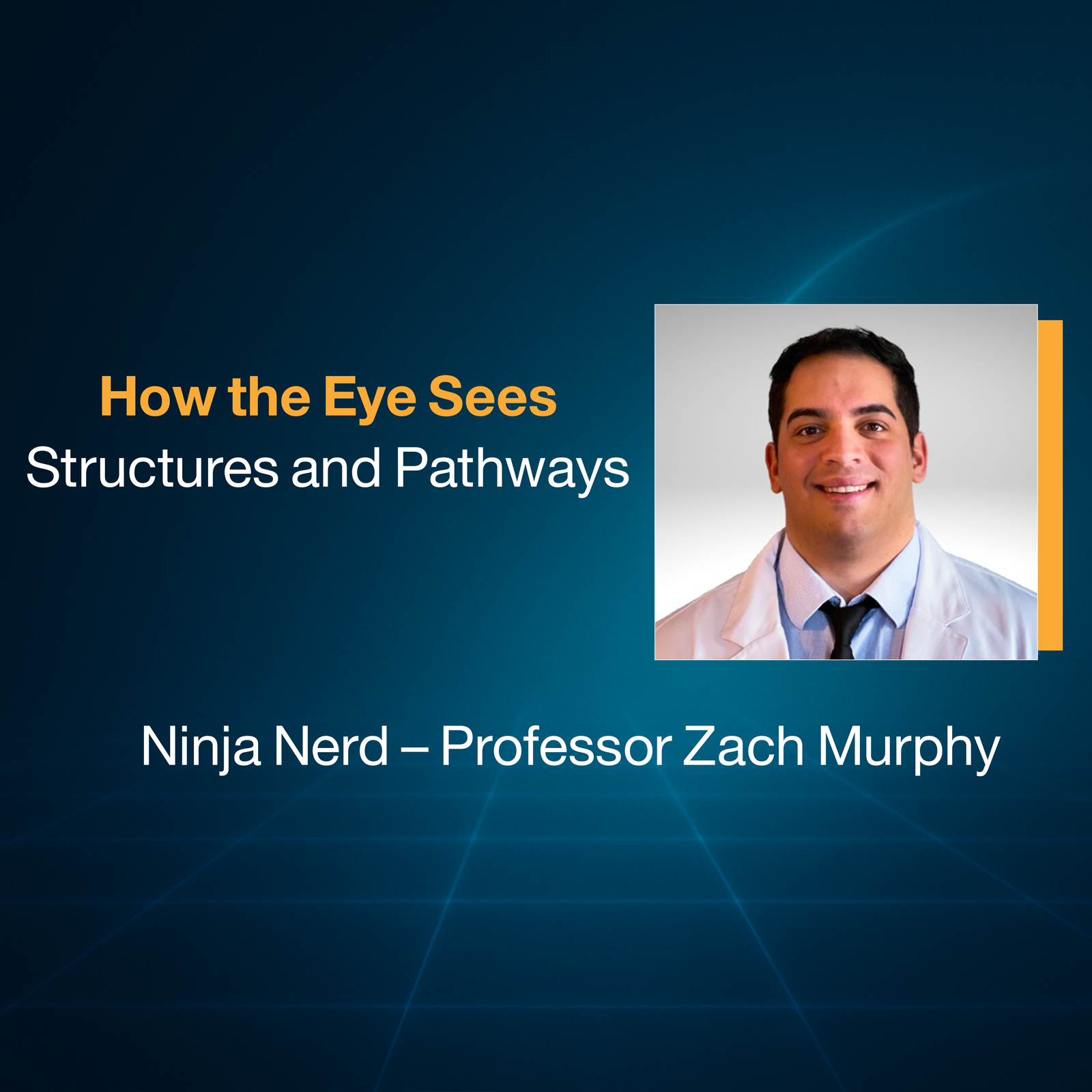 How the Eye Sees: Structures and Pathways Explained