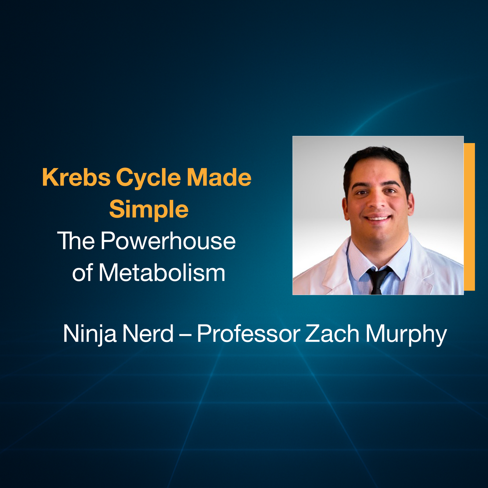 Krebs Cycle Made Simple: The Powerhouse of Metabolism