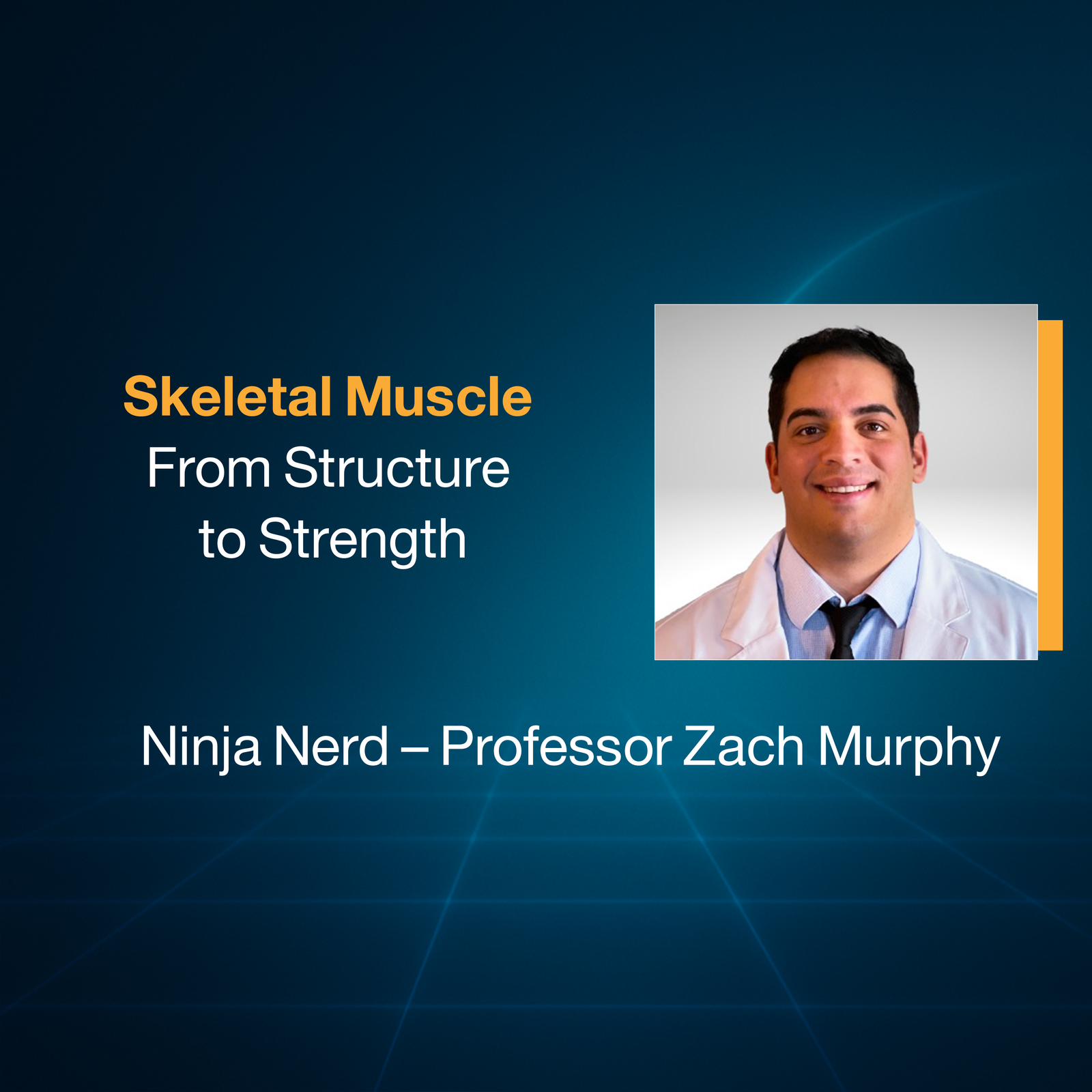 Skeletal Muscle: From Structure  to Strength