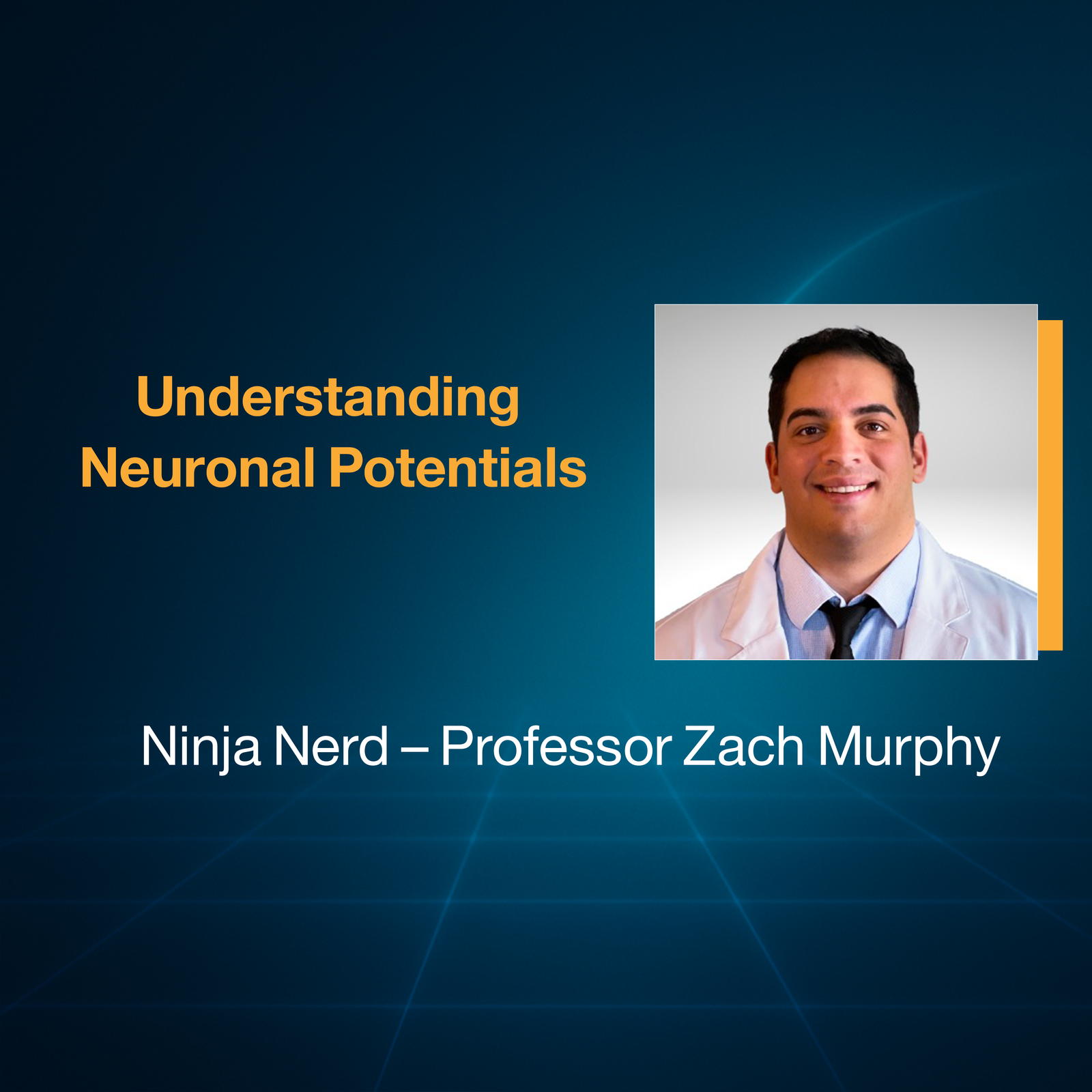 Understanding  Neuronal Potentials