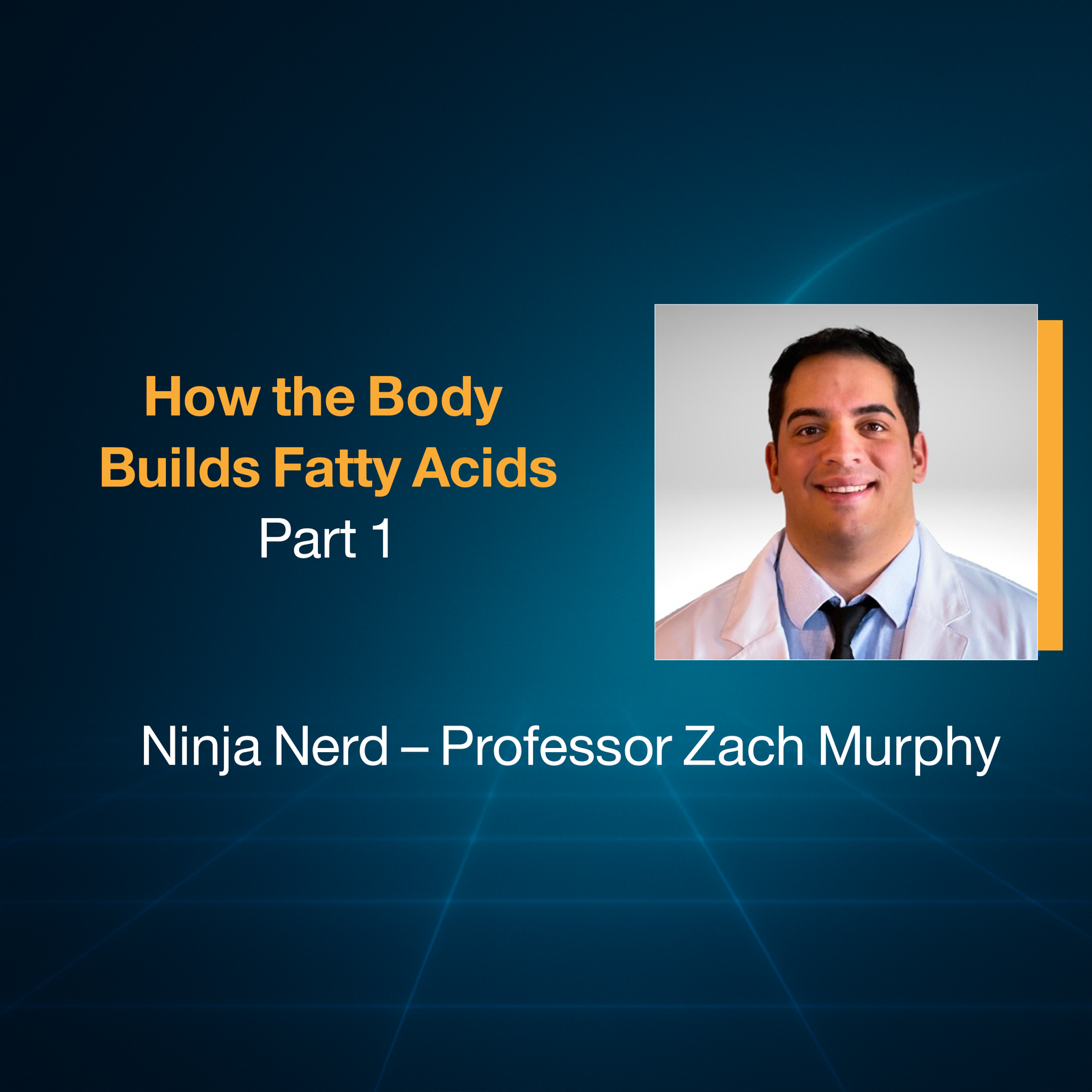 How the Body Builds Fatty Acids (Part1)