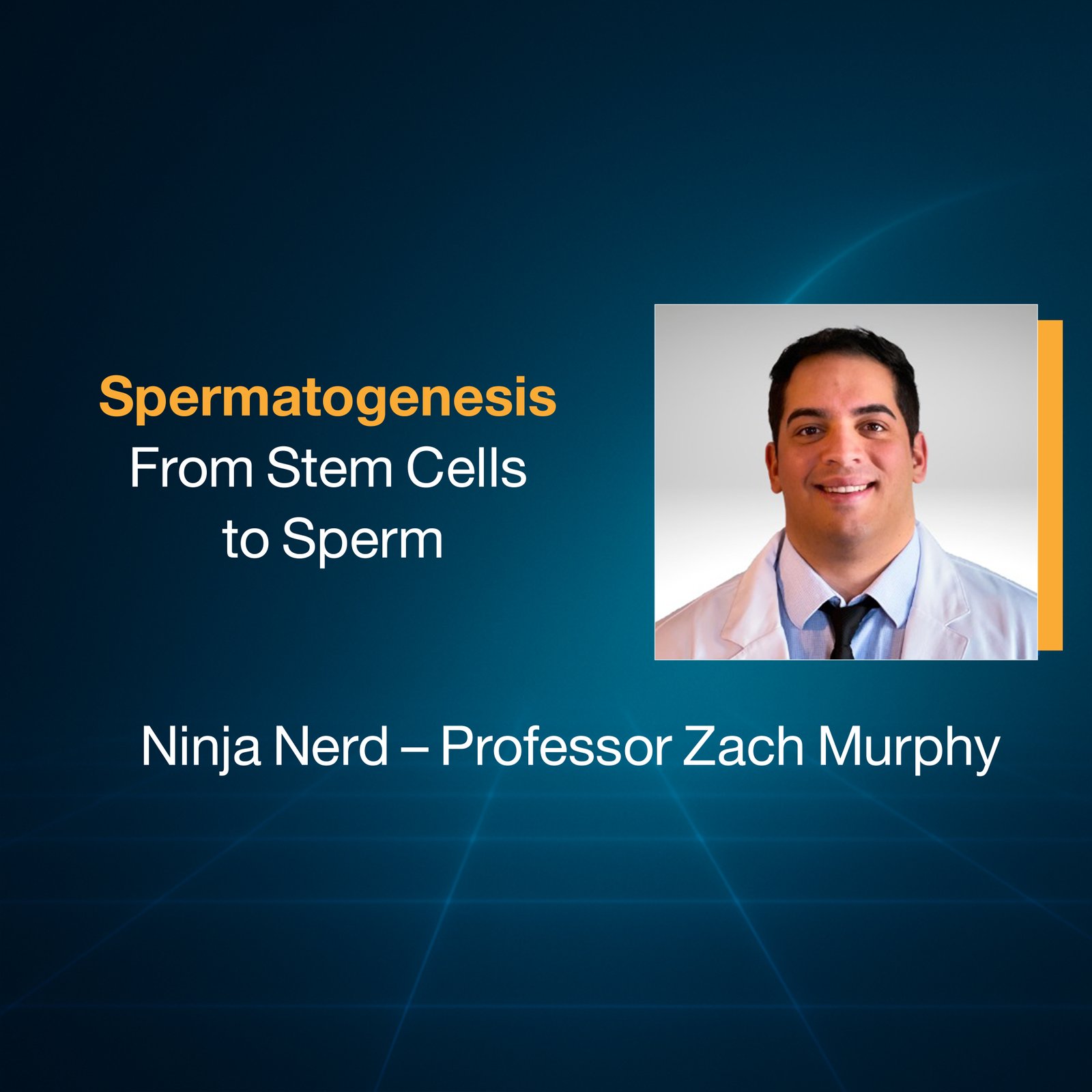Spermatogenesis: From Stem Cells to Sperm