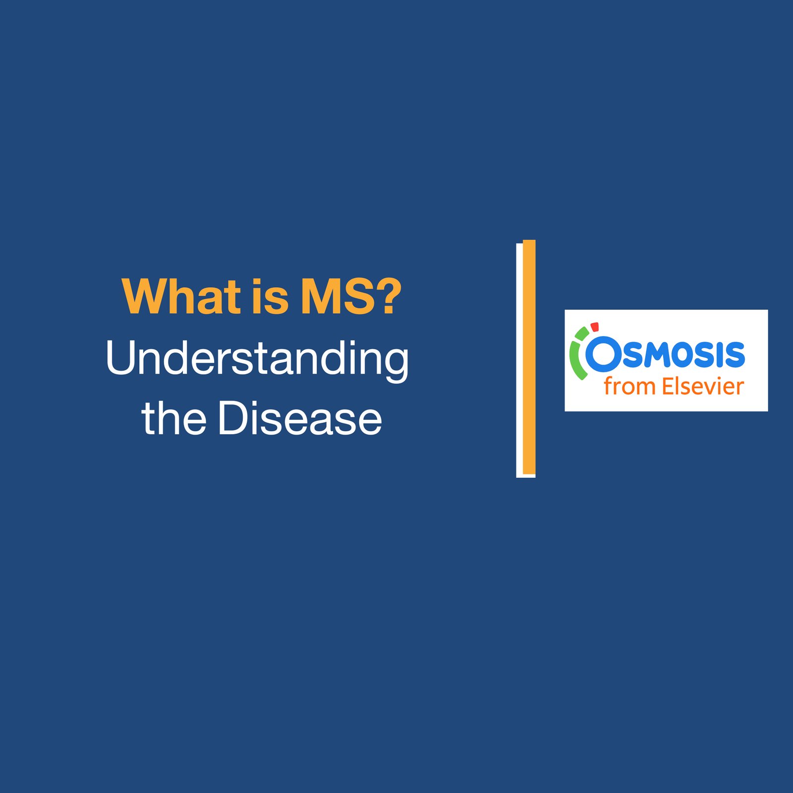 What is MS? Understanding  the Disease