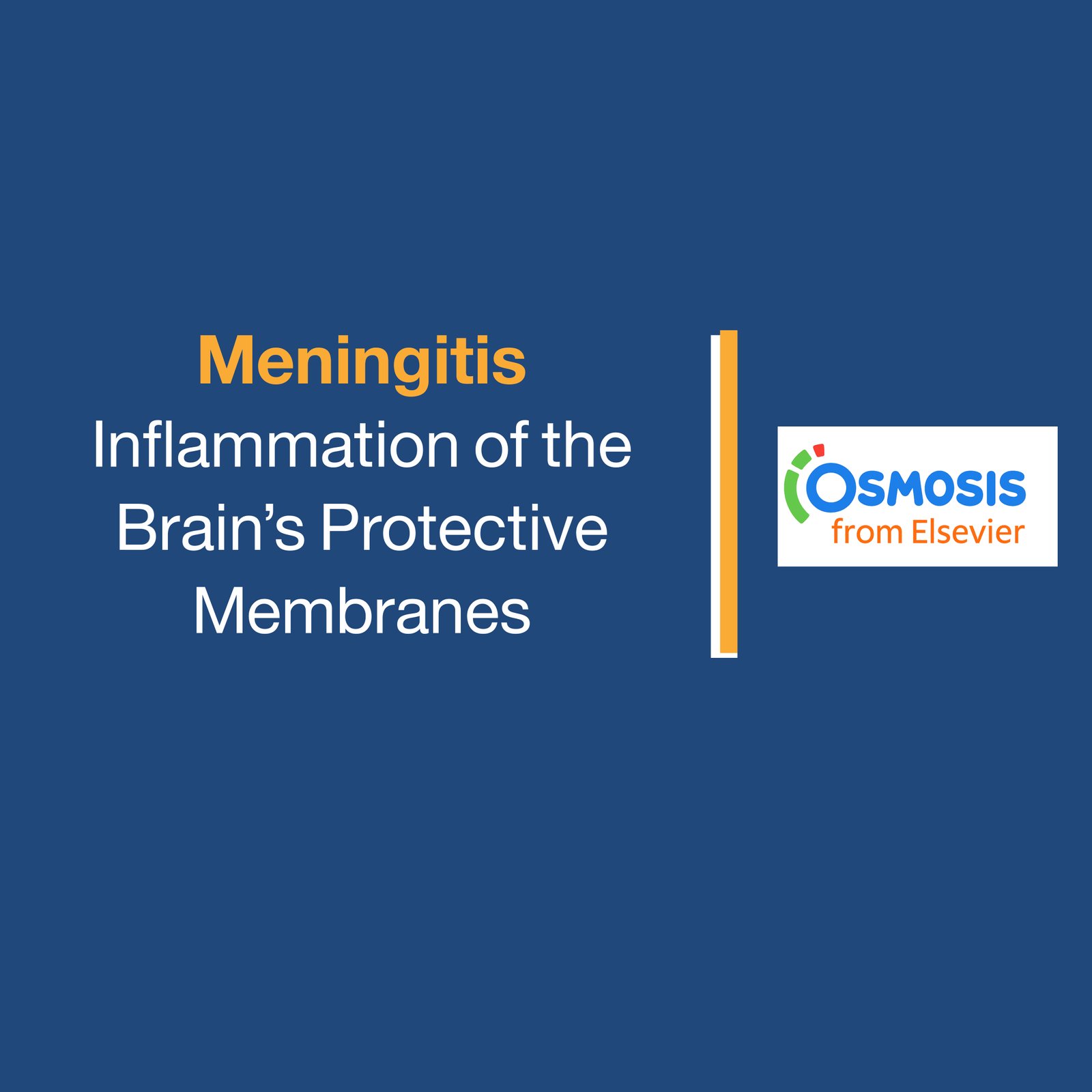 Meningitis: Inflammation of the Brain’s Protective Membranes