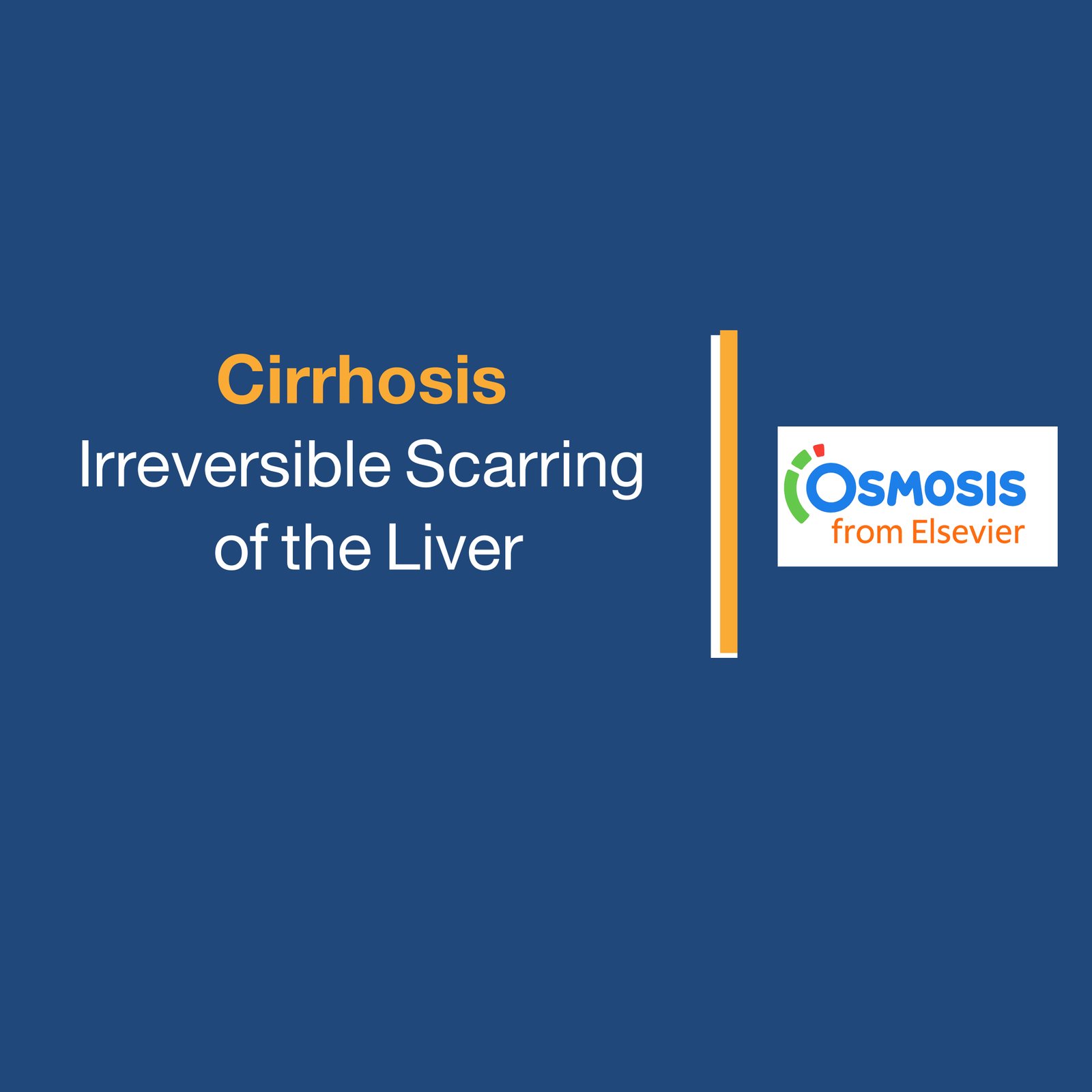Cirrhosis: Irreversible Scarring of the Liver