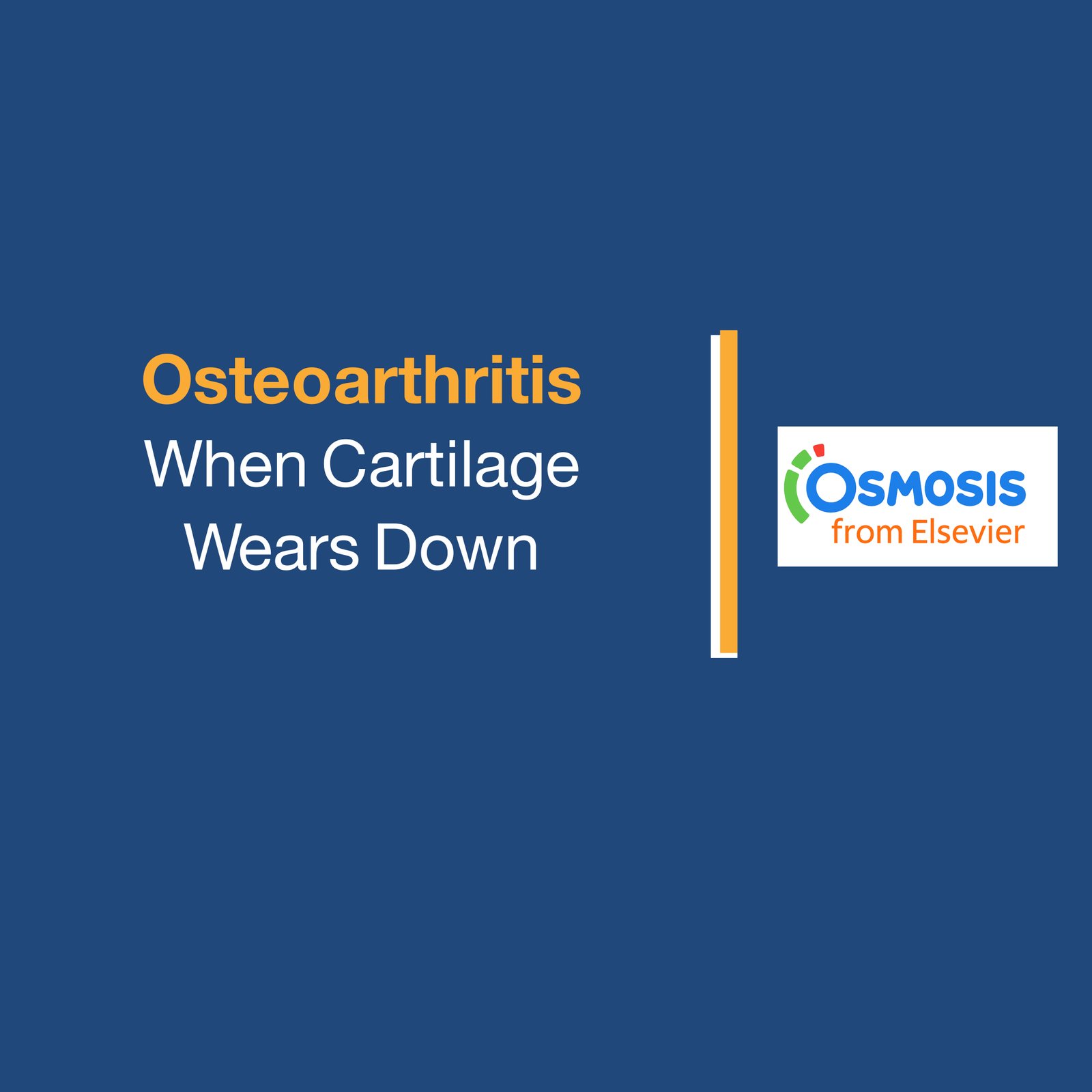 Osteoarthritis: When Cartilage Wears Down