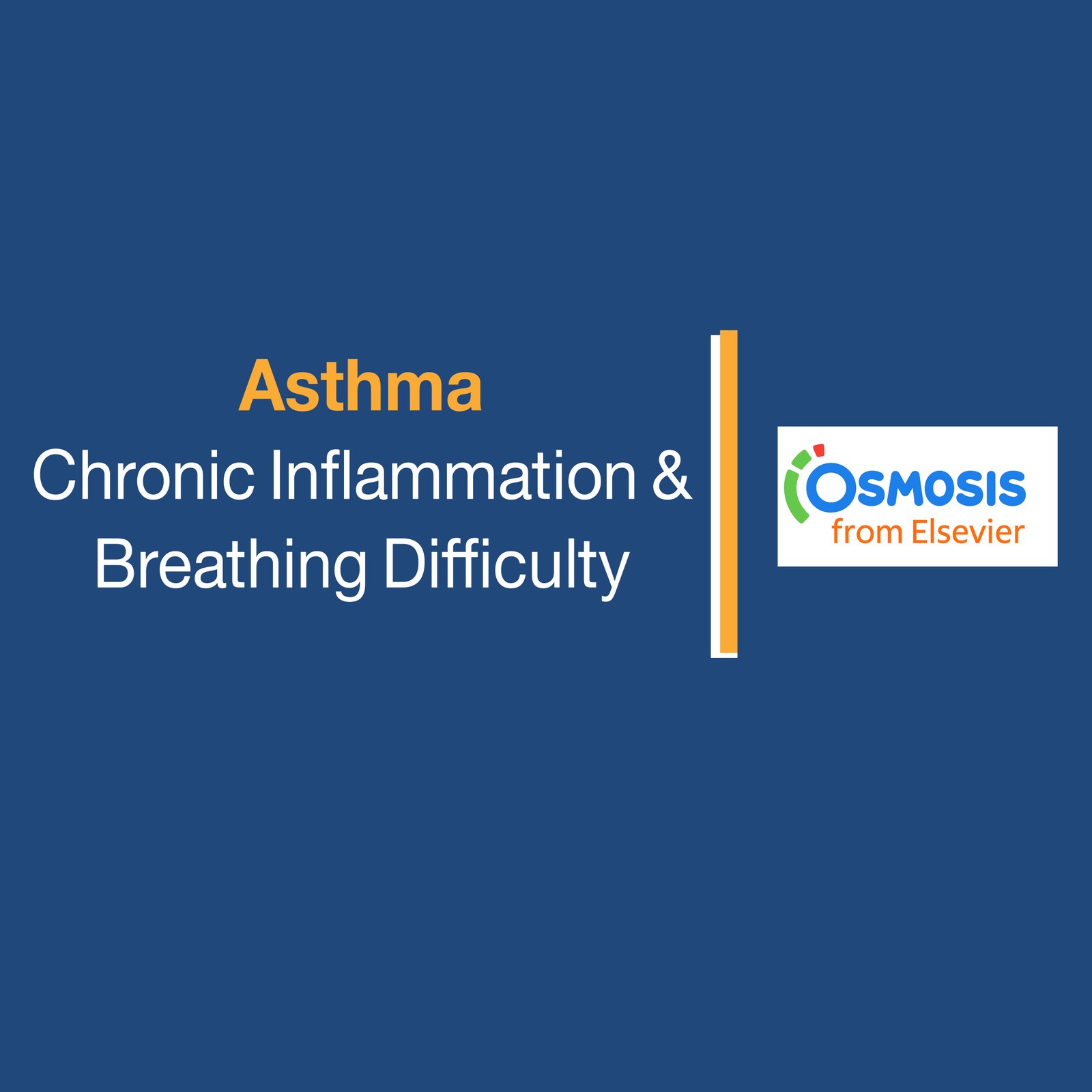 Asthma: Chronic Inflammation & Breathing Difficulty