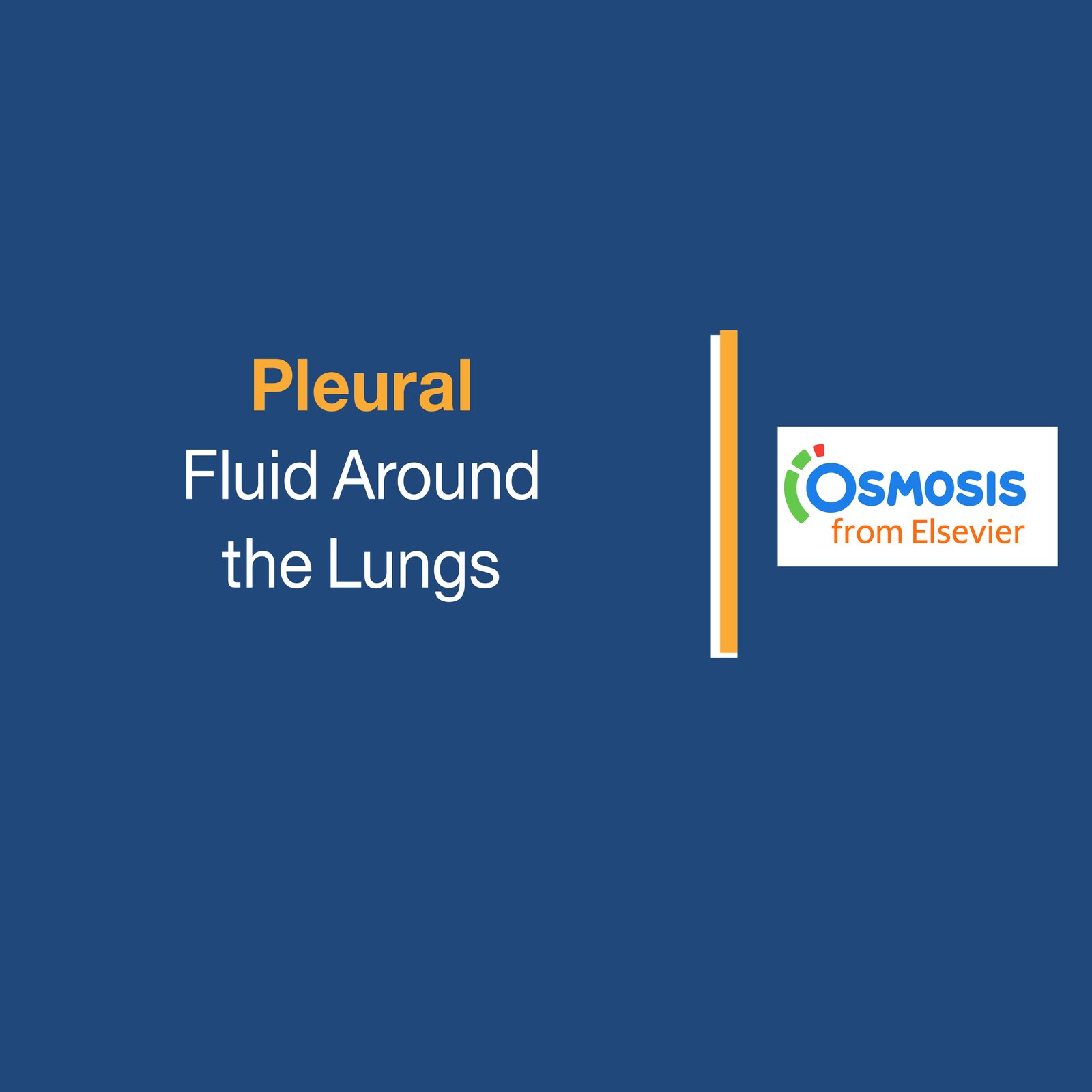 Pleural: Fluid Around  the Lungs