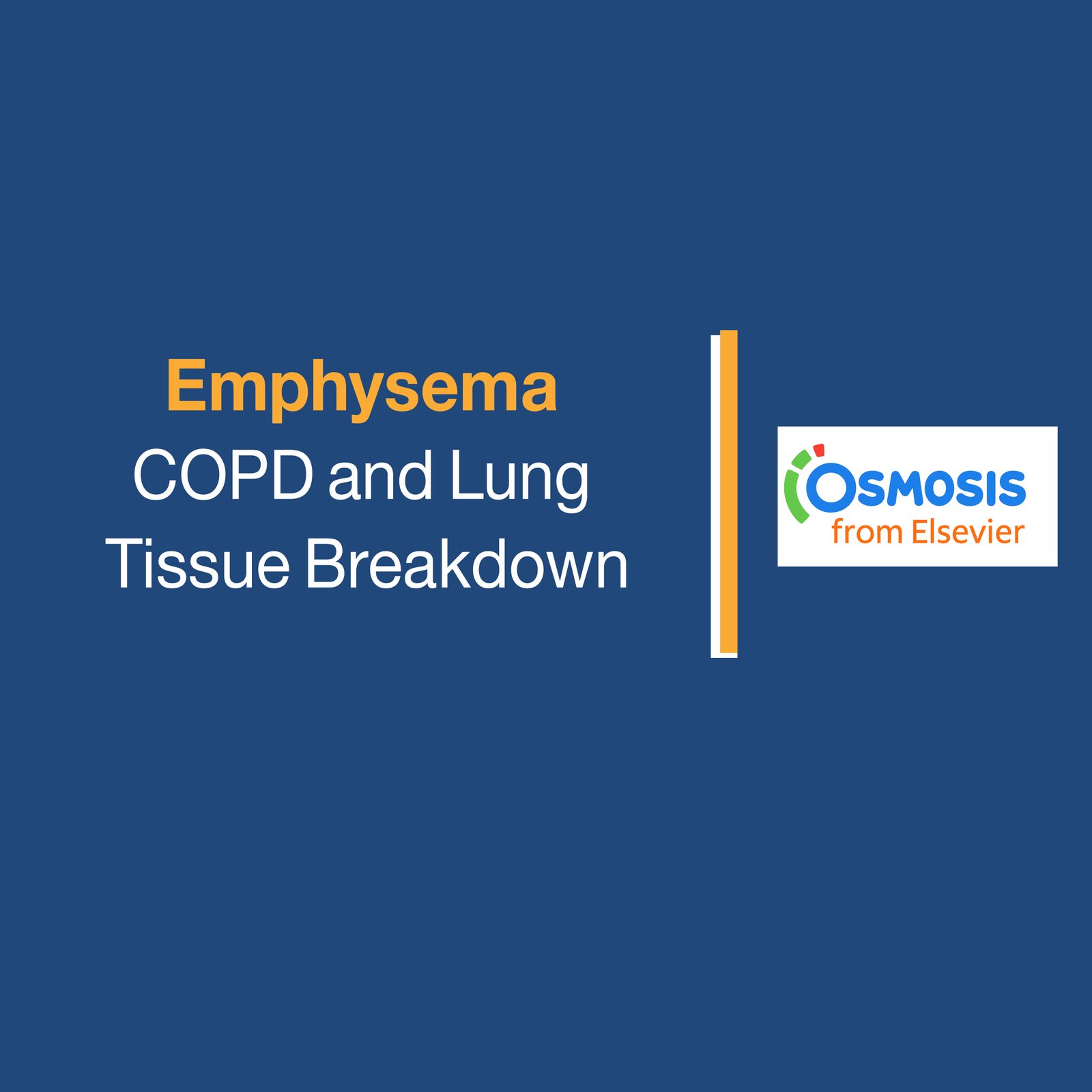 Emphysema: COPD and Lung  Tissue Breakdown