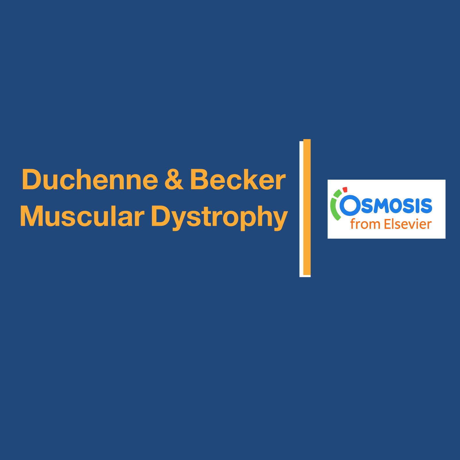 Duchenne & Becker Muscular Dystrophy