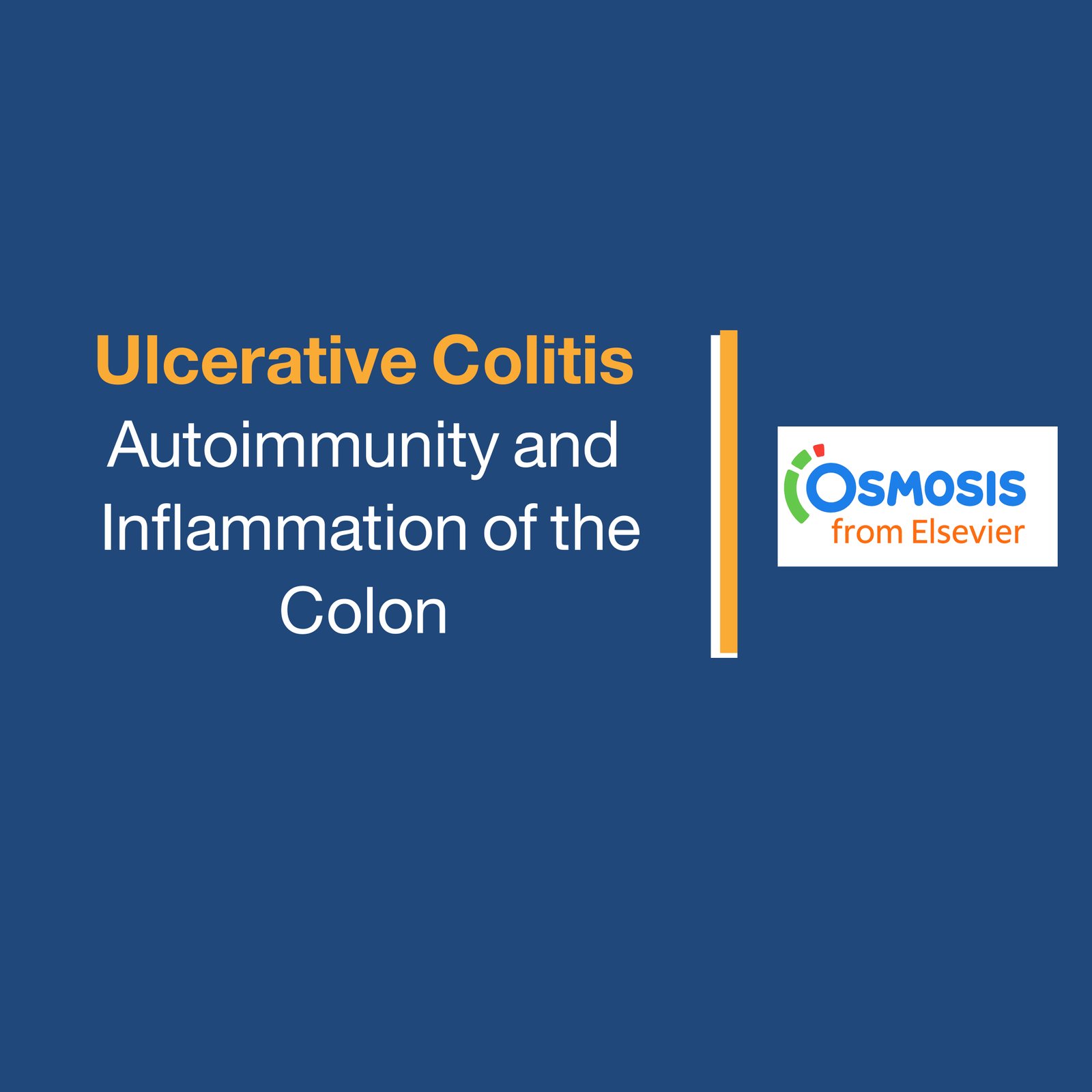 Ulcerative Colitis: Autoimmunity and  Inflammation of the Colon