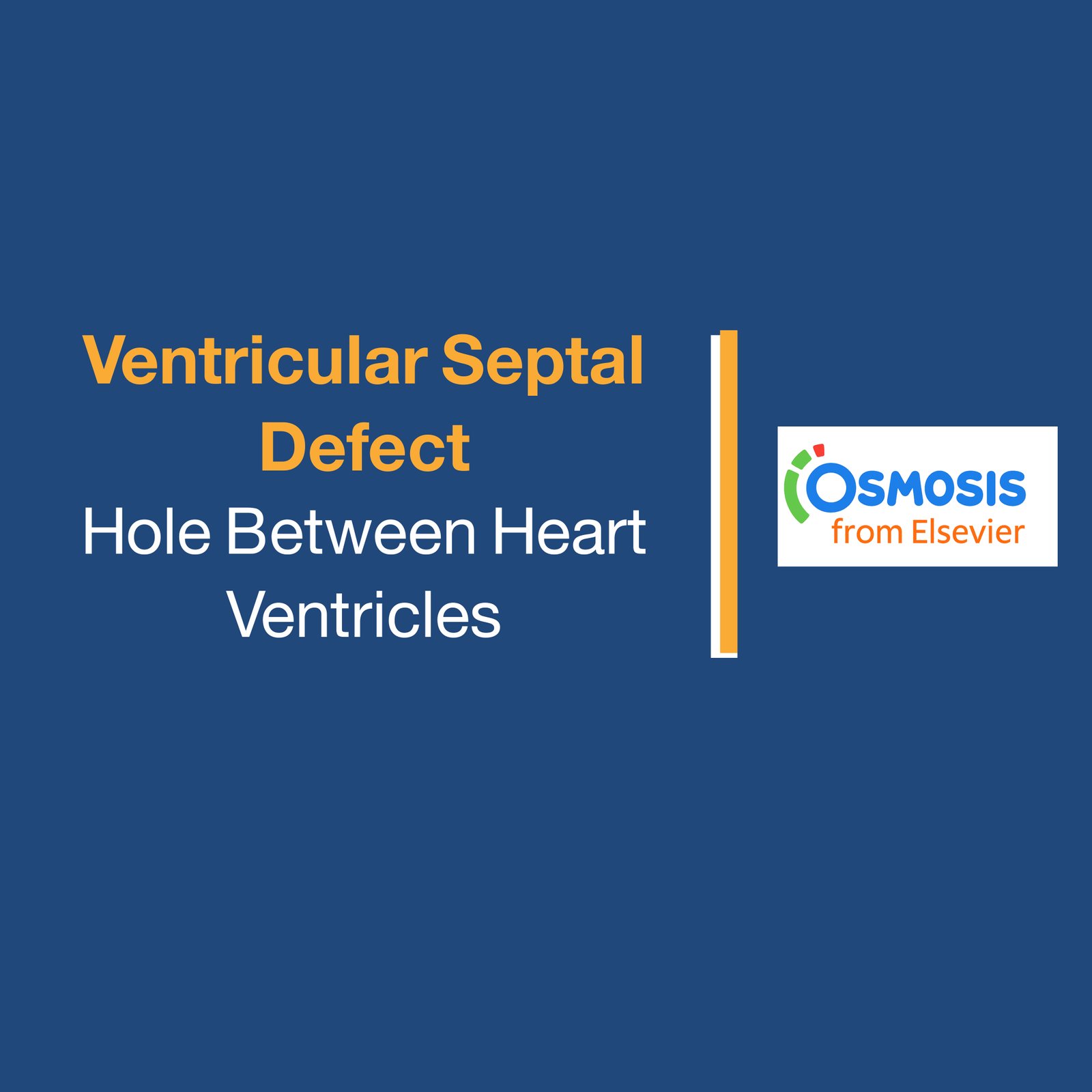 Ventricular Septal Defect: Hole Between Heart Ventricles