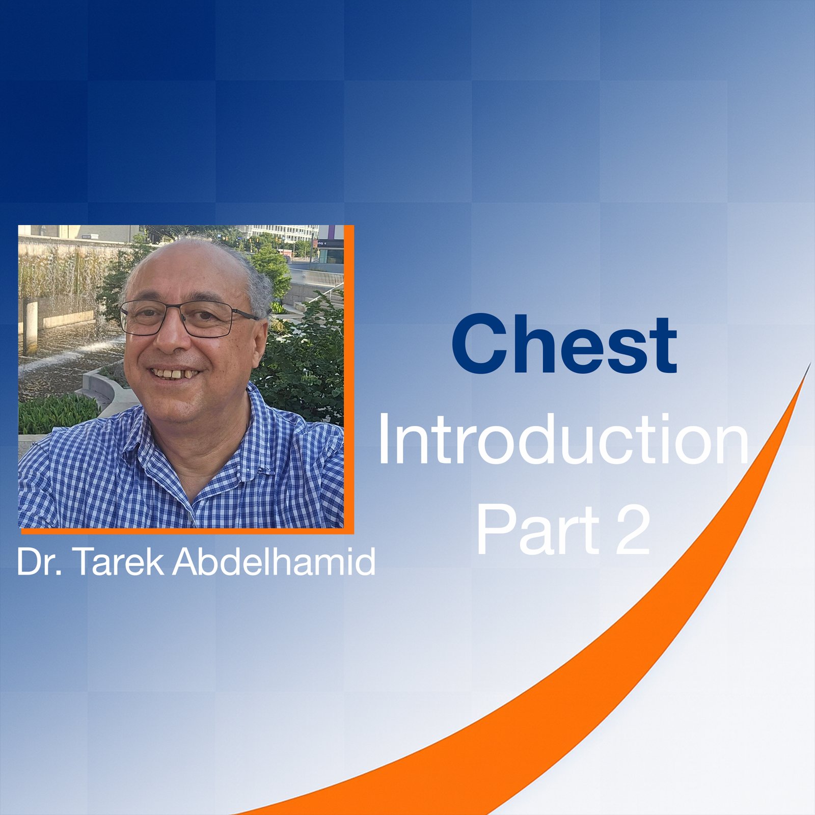 Chest: Introduction (Part 2)