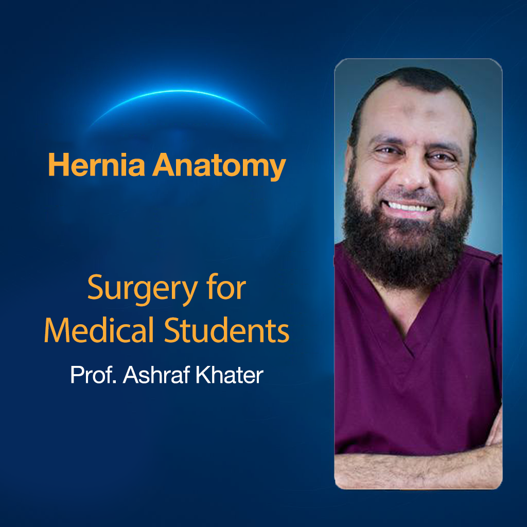 Hernia Anatomy