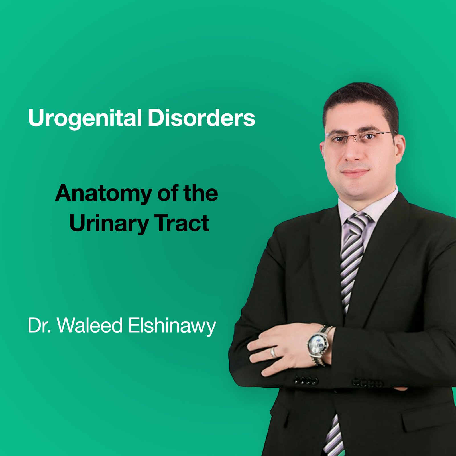 Anatomy of the Urinary Tract