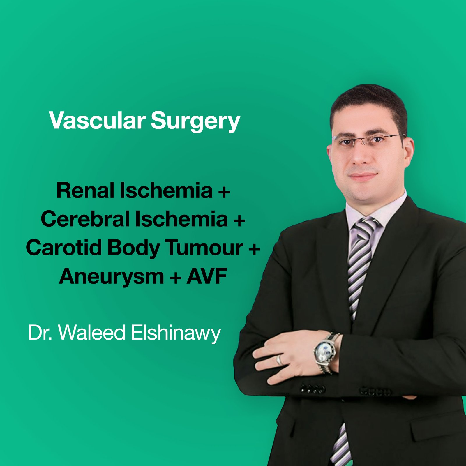 Renal Ischemia + Cerebral Ischemia + Carotid Body Tumour + Aneurysm + AVF