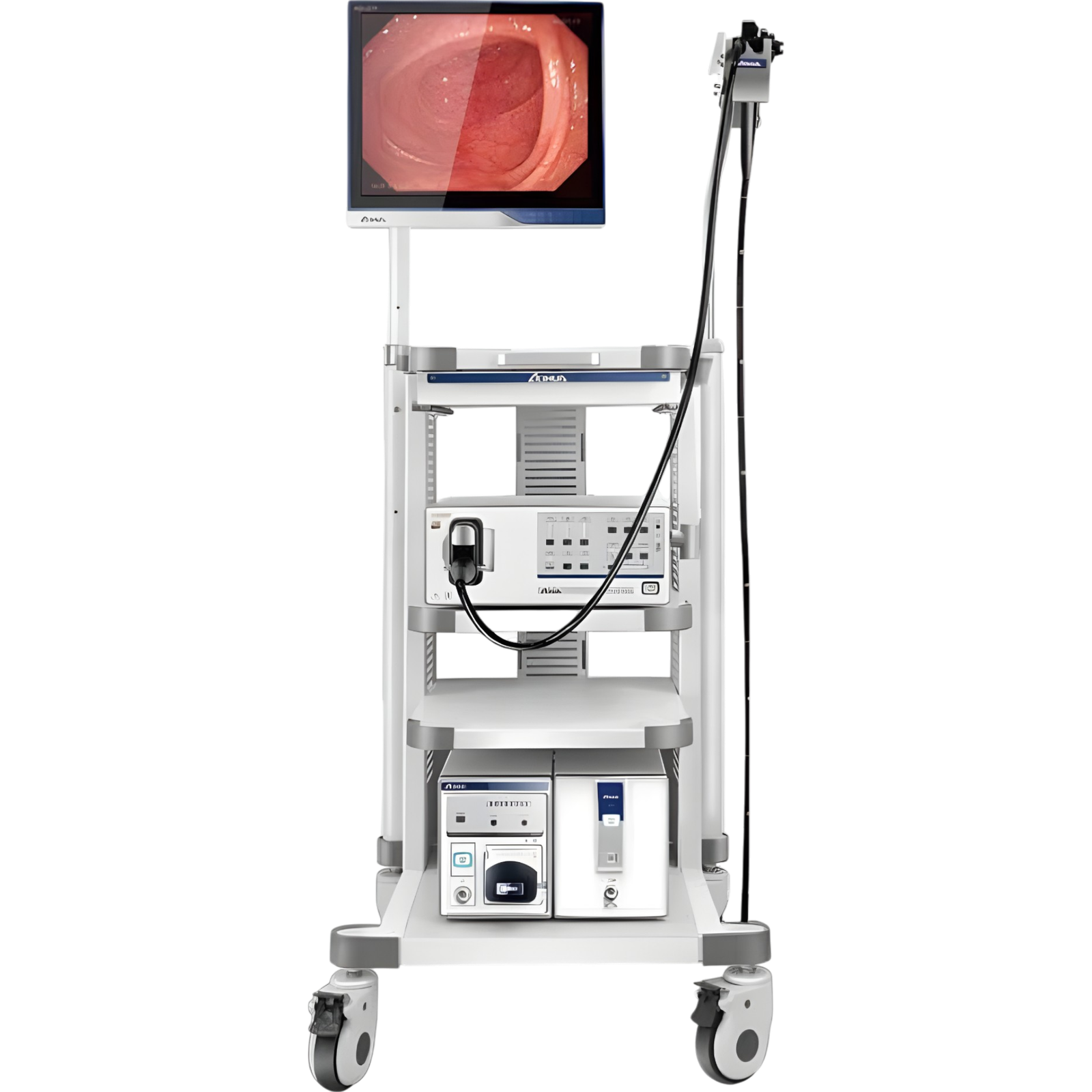 Gastroscope & Colonoscope