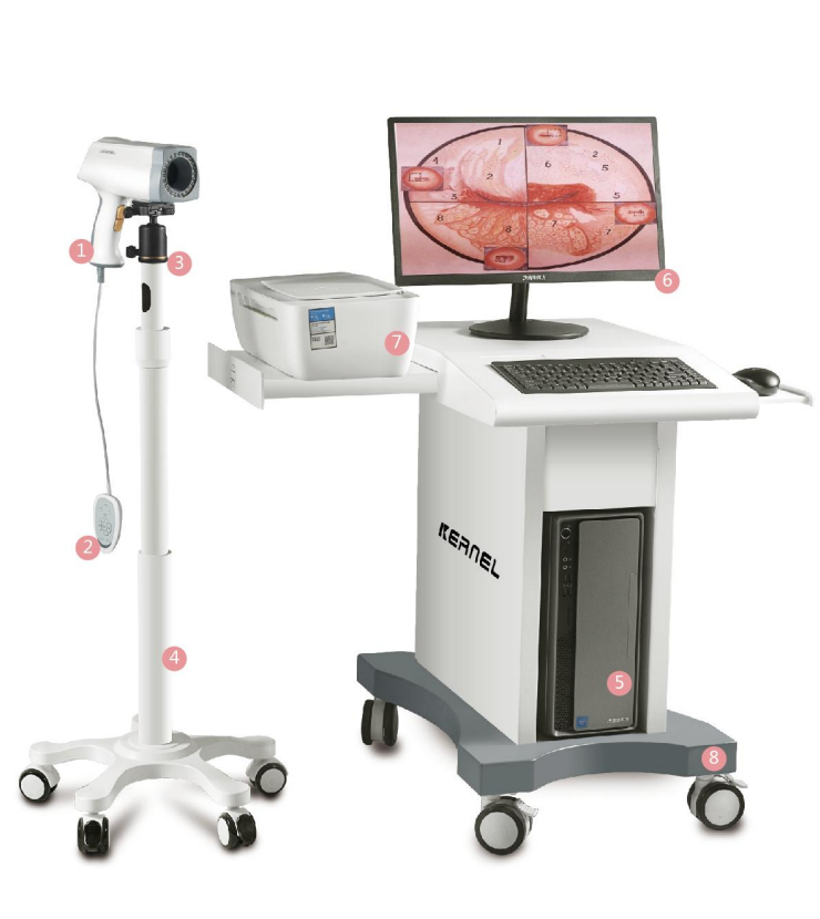 colposcope