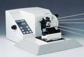 tissue processing